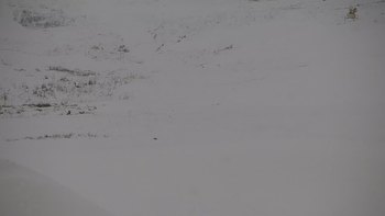 Красія 28 грудня 2019 року, 2019-12-28 10:00