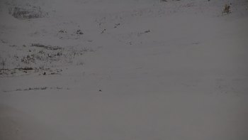 Красія 28 грудня 2019 року, 2019-12-28 13:00