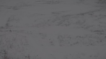 Красія 28 грудня 2019 року, 2019-12-28 16:00