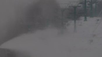 Красія 31 грудня 2019 року, 2019-12-31 10:00