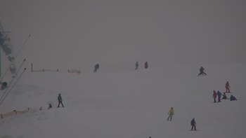 Красія 11 січня 2020 року, 2020-01-11 13:00