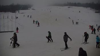 Красія 11 січня 2020 року, 2020-01-11 16:00