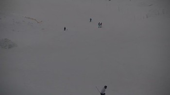Красія 22 січня 2020 року, 2020-01-22 10:00