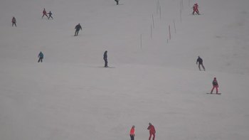 Красія 24 січня 2020 року, 2020-01-24 13:00
