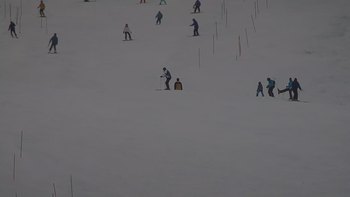 Красія 24 січня 2020 року, 2020-01-24 16:00