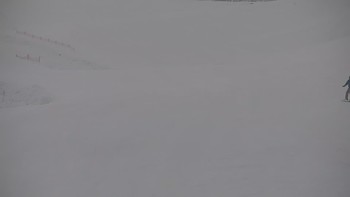 Красія 29 січня 2020 року, 2020-01-29 10:00
