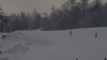 Красія 29 січня 2020 року, 2020-01-29 16:00