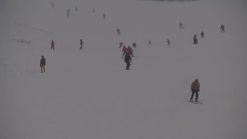 Красія 31 січня 2020 року, 2020-01-31 13:00