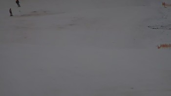 Красія 3 лютого 2020 року, 2020-02-03 10:00