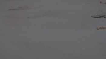 Красія 4 лютого 2020 року, 2020-02-04 10:00