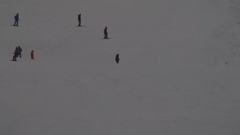 Красія 10 лютого 2020 року, 2020-02-10 13:00
