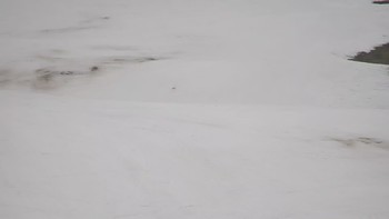 Красія 5 березня 2020 року, 2020-03-05 13:00