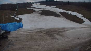 Красія 20 березня 2020 року, 2020-03-20 16:00