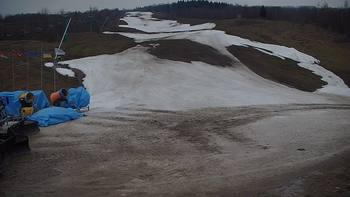 Красія 21 березня 2020 року, 2020-03-21 10:00
