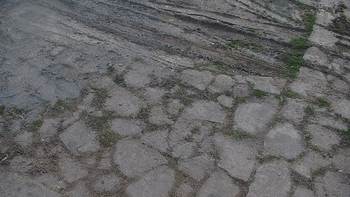 Красія 25 квітня 2020 року, 2020-04-25 10:00