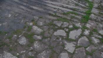 Красія 15 травня 2020 року, 2020-05-15 13:00