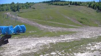 Красія 22 травня 2020 року, 2020-05-22 13:00