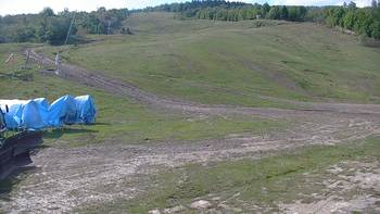 Красія 29 травня 2020 року, 2020-05-29 10:00