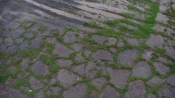 Красія 10 червня 2020 року, 2020-06-10 13:00