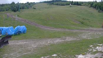 Красія 14 червня 2020 року, 2020-06-14 13:00