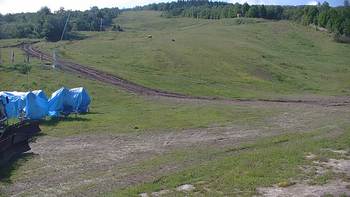Красія 16 червня 2020 року, 2020-06-16 10:00