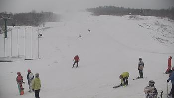 Красія 15 січня 2021 року, 2021-01-15 10:00