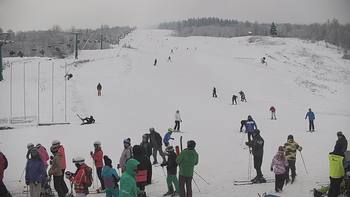 Красія 17 січня 2021 року, 2021-01-17 10:00