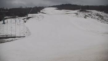 Красія 22 січня 2021 року, 2021-01-22 16:00