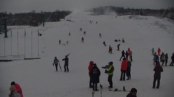 Красія 29 січня 2021 року, 2021-01-29 13:00
