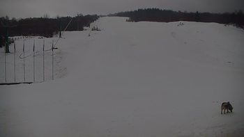 Красія 17 лютого 2022 року, 2022-02-17 10:00