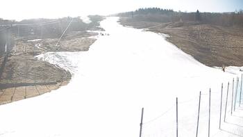 Красія 8 березня 2025 року, 2025-03-08 10:00