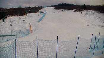 Krasiia 3 february 2026 year, 2026-02-03 16:00