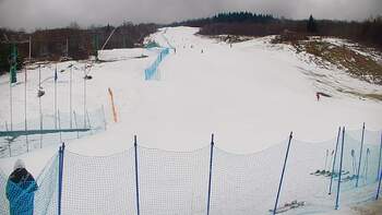 Krasiia 8 february 2026 year, 2026-02-08 13:00