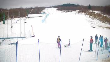 Krasiia 8 february 2026 year, 2026-02-08 16:00