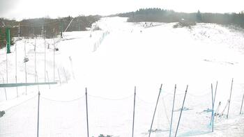 Krasija 20 luty 2026 rok 13:00