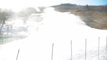 Krasiia 3 march 2026 year, 2026-03-03 10:00