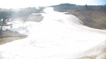 Krasiia 11 march 2026 year, 2026-03-11 10:00