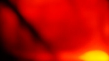 Красія 17 квітня 2026 року, 2026-04-17 10:00