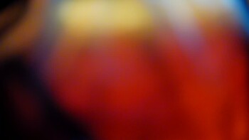 Красія 19 квітня 2026 року, 2026-04-19 16:00