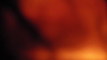 Красія 20 квітня 2026 року, 2026-04-20 13:00