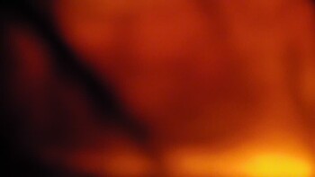 Красія 21 квітня 2026 року, 2026-04-21 10:00