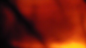 Красія 17 травня 2026 року, 2026-05-17 13:00