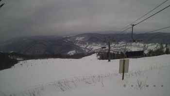 Красія 20 січня 2018 року, 2018-01-20 13:00