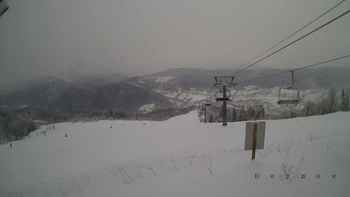 Красія 21 січня 2018 року, 2018-01-21 10:00