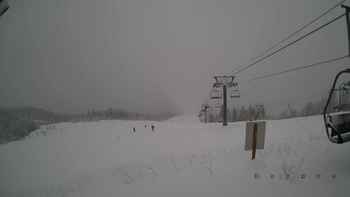 Красія 21 січня 2018 року, 2018-01-21 13:00