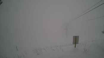 Красія 1 лютого 2018 року, 2018-02-01 16:00