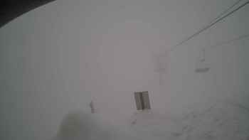 Красія 29 січня 2019 року, 2019-01-29 16:00