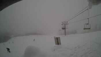 Красія 31 січня 2019 року, 2019-01-31 13:00