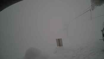 Красія 31 січня 2019 року, 2019-01-31 16:00