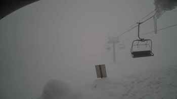 Красія 1 лютого 2019 року, 2019-02-01 13:00